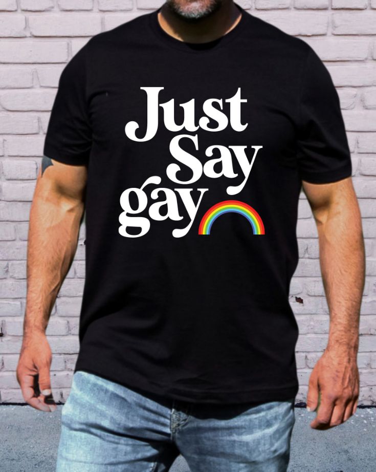 Just Say Gay2